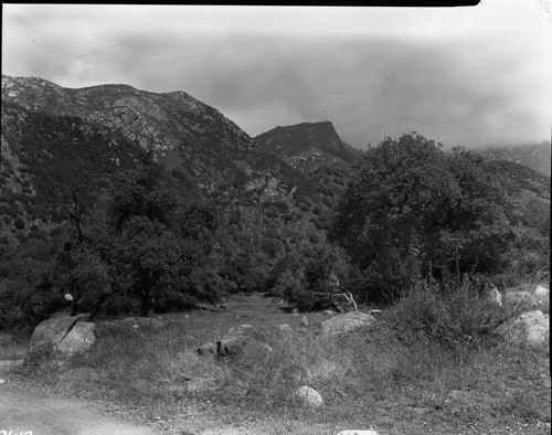 Misc. Plant Communities, Oakwoodland (foregound), Chaparral (background). (Crop from top)