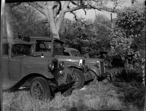 Vehicles and Equipment, Trucks, Ash Mountain Headquarters