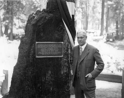 Dedications and Ceremonies, National Geographic Society Plaque with Steven Mather. [8x10 print]