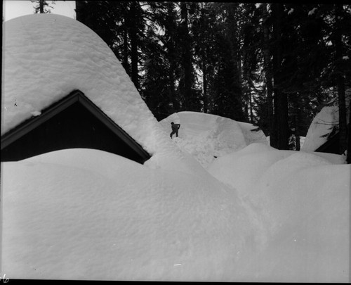 Record Heavy Snow, Record snows Lodgepole area