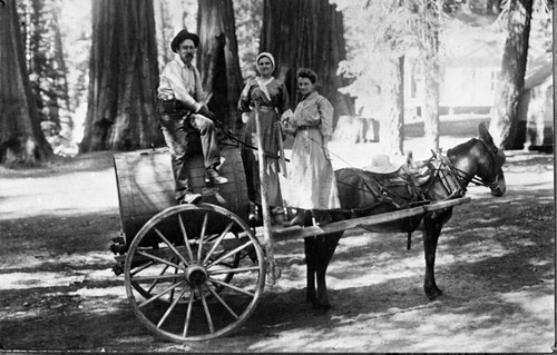 Vehicles and Equipment, early wagon