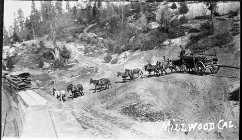 Logging, Hauling scenes at Millwood, early 1900's