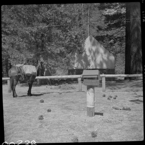 Ranger Stations, Chagoopa Falls Ranger Station. Remarks: Station dismantled in 1964. Unknown Date