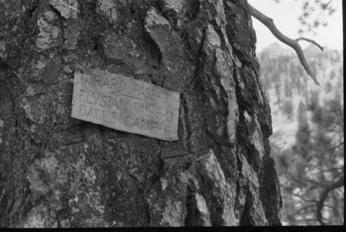 Signs, Pointing towards Laurel Creek. This sign is probably on Pistol Creek. Names are for local packers' use