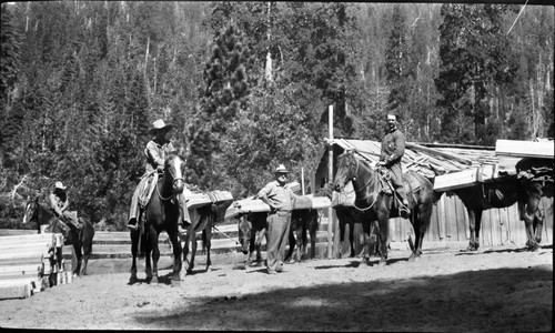 Construction, pack materials to Paradise Peak Lookout site. Stock use