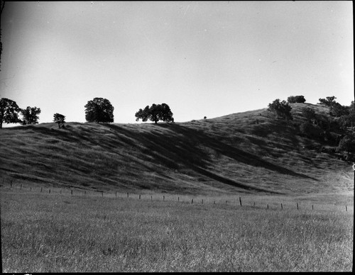 foothills southwest of Three Rivers, Misc. plant communities, Oak grassland, Savannah