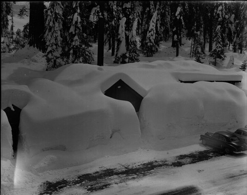 Record Heavy Snows, Giant Forest Village in deep snow