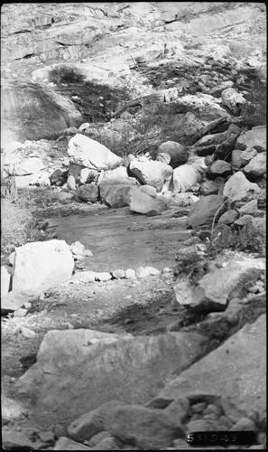 Buck Canyon, SNP. Trails, High Sierra Trail crossing Buck Canyon Creek, Creeks