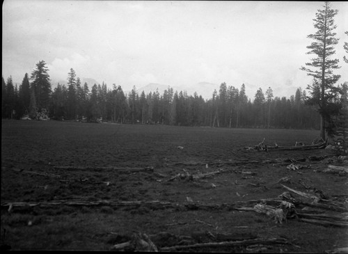 Meadow studies, east half of Meadow below pasture and along south side of meadow. remaks: Fig. 64 Armstrong Report