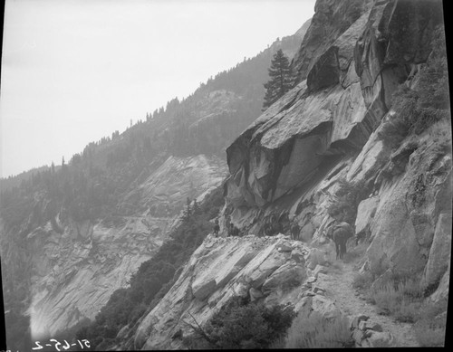 Trails, HST Between Hamilton Falls and Lone Pine Creek. Stock Use