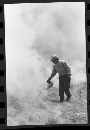 Training Activities, Ranger Activities, Fire training in Oak Woodland in Ash Mountain housing area, by Research Center