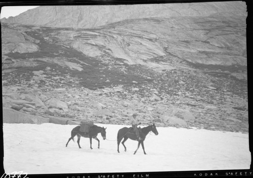 stock use. Upper Deadman Canyon