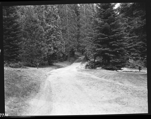 Roads, Mineral King Road east of Atwell