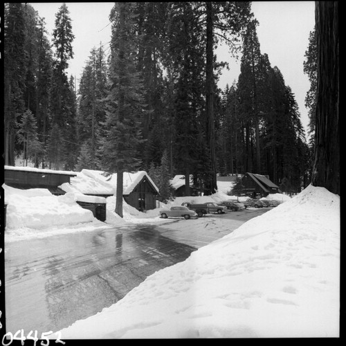 Winter Scenes, Giant Forest Village in snow. Concessioner Facilities