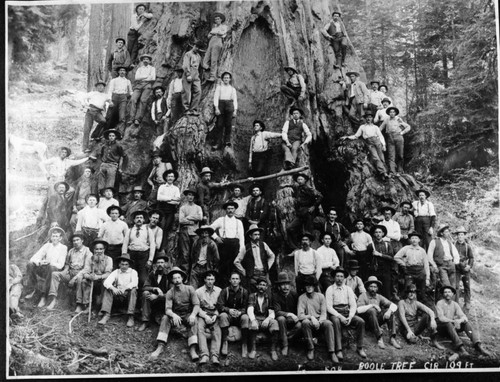 Converse Mountain, Logging, Loggers on Boole Tree. Misc. Groups