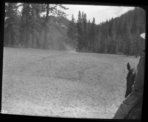 Meadow Studies, Complete Meadow Destruction