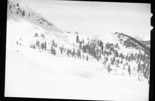 Winter Scenes, Saddle between Mosquito and Mineral drainages from Mosquito Lakes Bowl