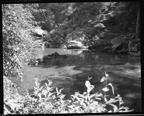 Marble Fork Kaweah River Misc. Resource Management Concerns, Station #1 Individual Unidentified, Kaweah No 3 Investigation, Low Water stream flow