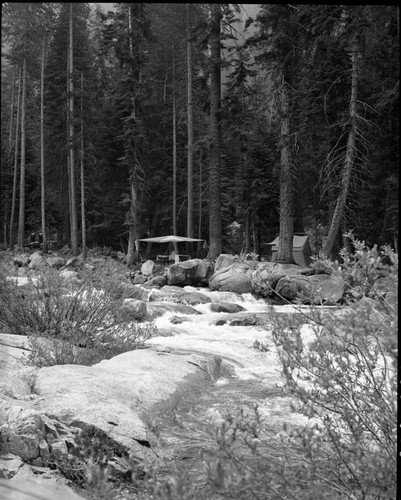 Camping, Tenting in upper Lodgepole Campground