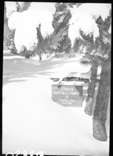 Signs, Forest Service sign