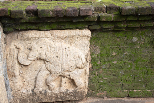 Council Chamber of King Nissankamalla (1187-1196 AD): Elephant bas-relief