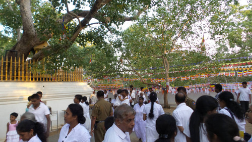 Sri Mahā Bodhi shrine