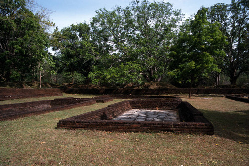 Water garden