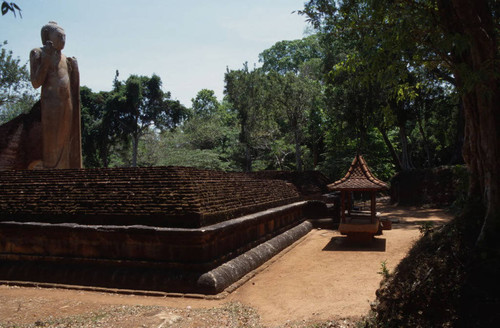 Standing Buddha statue in image house: Patima Vihāra or Ariyākara Vihāra (Mahāvamsa)