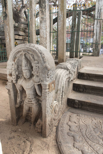 Sri Mahā Bodhi shrine: Guardstone: Nagarāja Moonstones: Balustrade