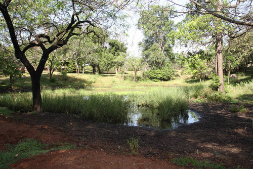 Gopala Pabbata (Herdman's Rock): Rock shelter