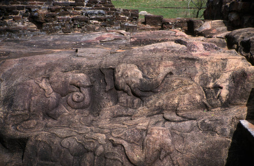 Goldfish Park: Northern bathing pool: Elephants in bas-relief