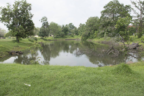 Timbiri Pokuna (Pond)