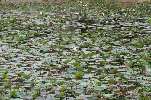 Kaludiya Pokuna (Black Water Pool)