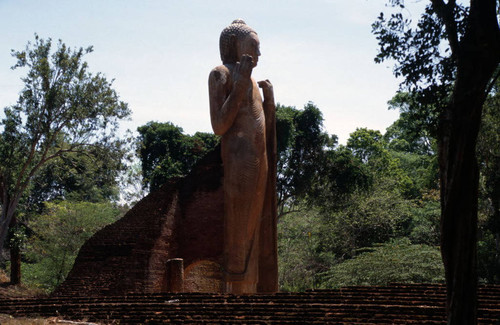 Standing Buddha statue in image house: Patima Vihāra or Ariyākara Vihāra (Mahāvamsa)