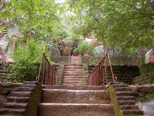 Terrace Garden: Stairway