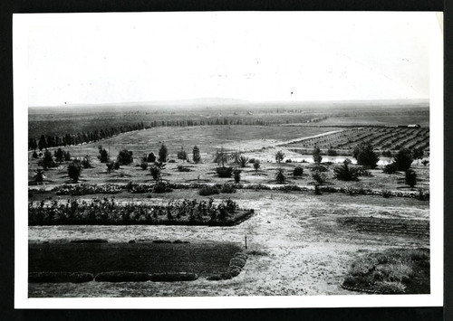 Scripps Ranch, view from ranch house, Miramar, California, circa 1899 ...