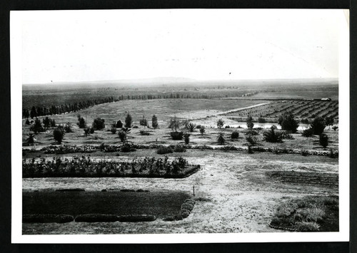 Scripps Ranch, view from ranch house, Miramar, California, circa 1899