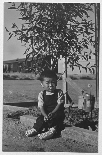 Child sitting beneath tree