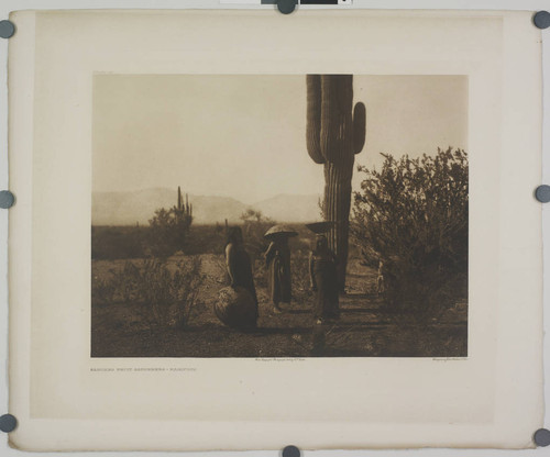 Saguaro fruit gatherers, Maricopa