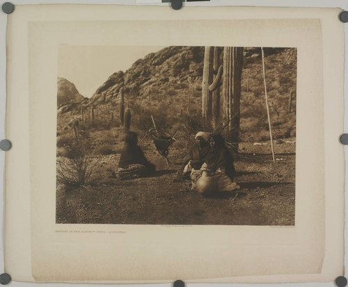 Resting in the harvest field, Qahatika