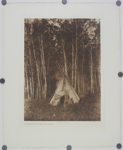 A Chipewyan tipi among the Aspens