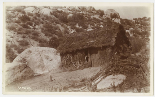 Brush thatch dwelling