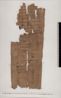 Application by Menches for the post of komogrammateus at Kerkeosiris, Egypt