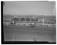 Tanforan horse race