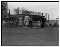 Lowell versus Commerce, [high school] baseball