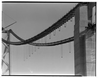 Drop cables for steel on the San Francisco-Oakland Bay Bridge