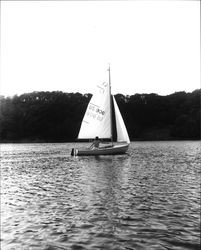 Sailboats on Lake Ralphine, Santa Rosa, California, 1965