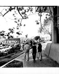 Exchange Bank employees at a picnic