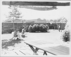 Peck family at home, Santa Rosa, California, 1957