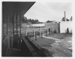 View of the grounds of the Flamingo Hotel, Santa Rosa, California, 1957